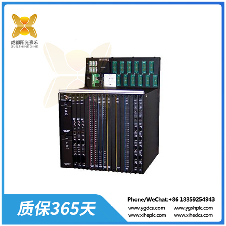 TRICONEX 8110.jpg