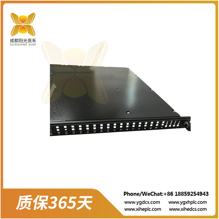 3625C1 (2).jpg